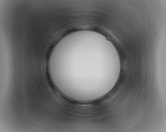 X0000112750645200908201014