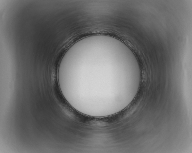 X0000112750648200908201014