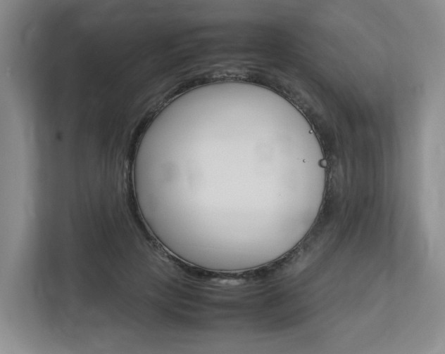X0000112750649200908201014