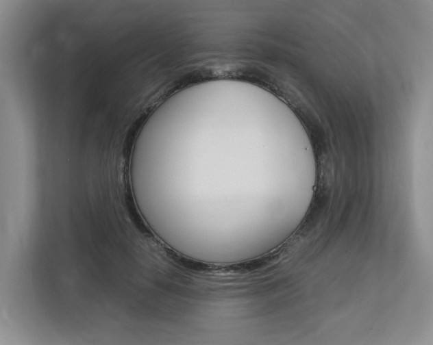 X0000112750650200908201014