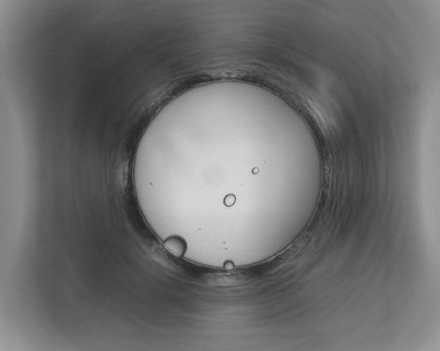 X0000112750652200908201014