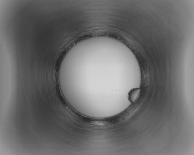 X0000112750654200908201014