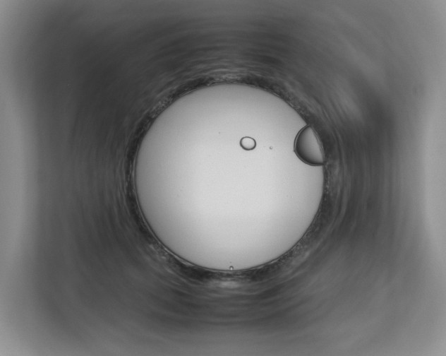 X0000112750655200908201014