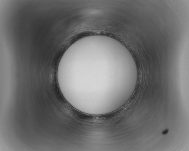 X0000112750656200908201014