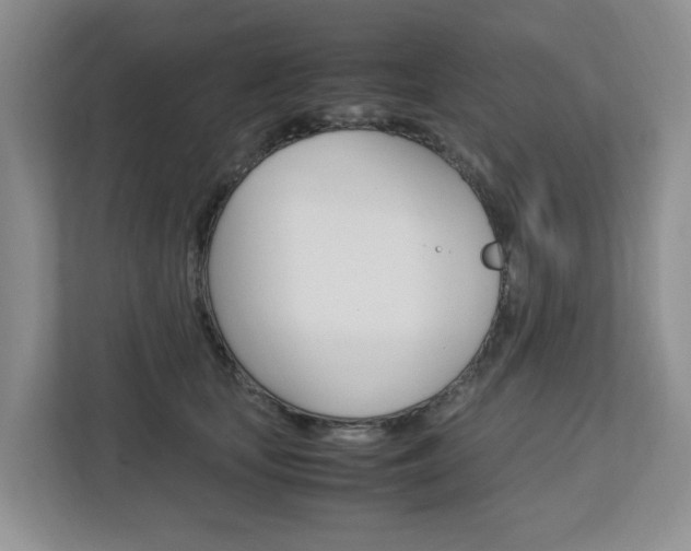 X0000112750659200908201014