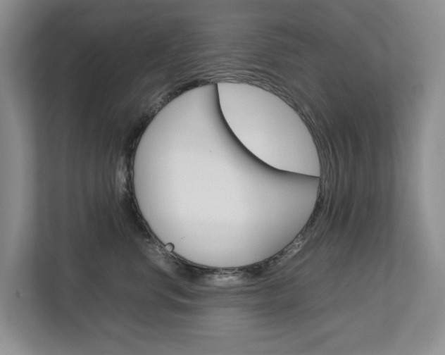 X0000112750668200908201014