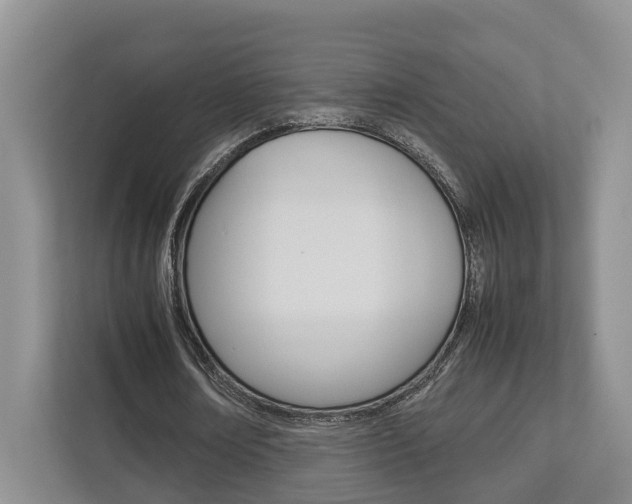 X0000112750674200908201014