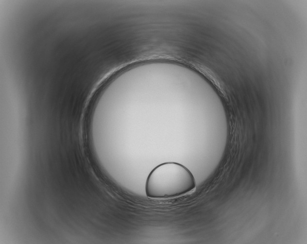 X0000112750680200908201014