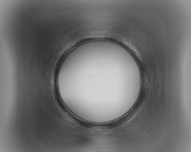 X0000112750681200908201014