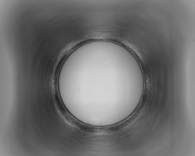 X0000112750682200908201014