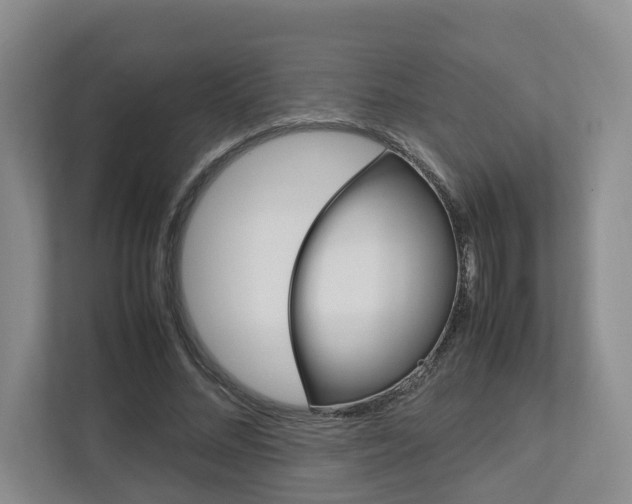 X0000112750684200908201014