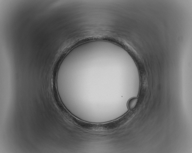 X0000112750685200908201014
