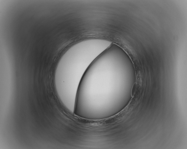 X0000112750692200908201013