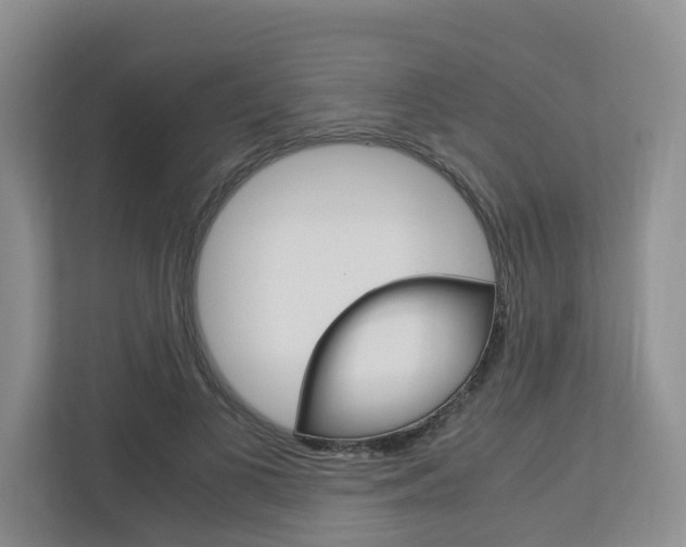 X0000112750693200908201013