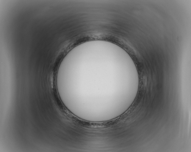 X0000112750694200908201013