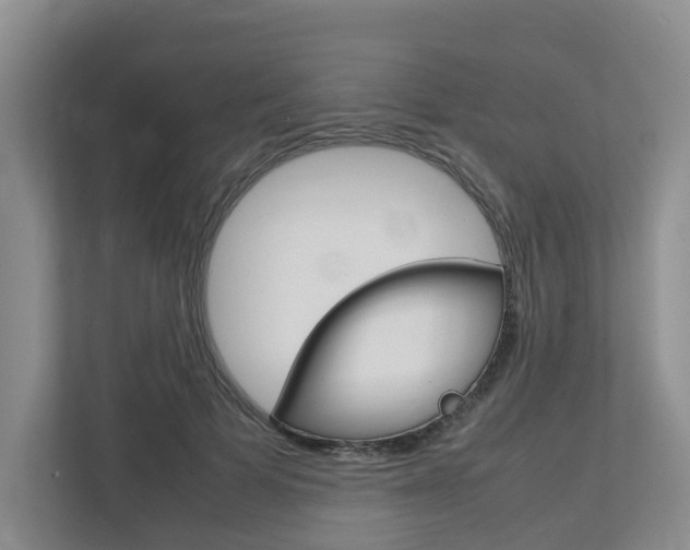 X0000112750697200908201013