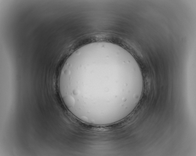 X0000112750698200908201013