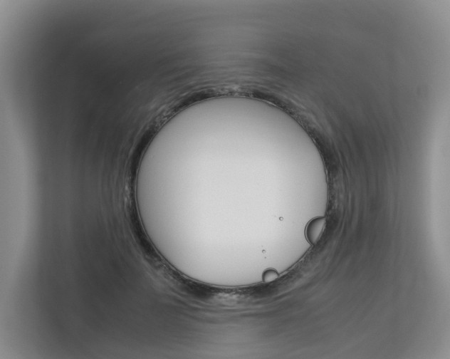 X0000112750699200908201013