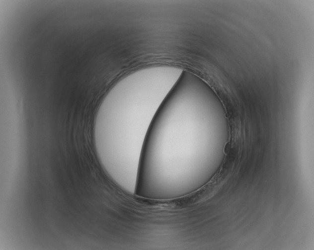 X0000112750700200908201013