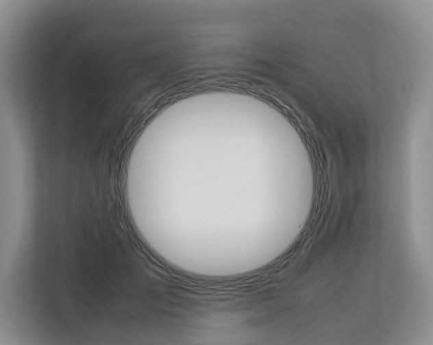 X0000112750701200908201013