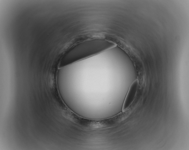 X0000112750704200908201013