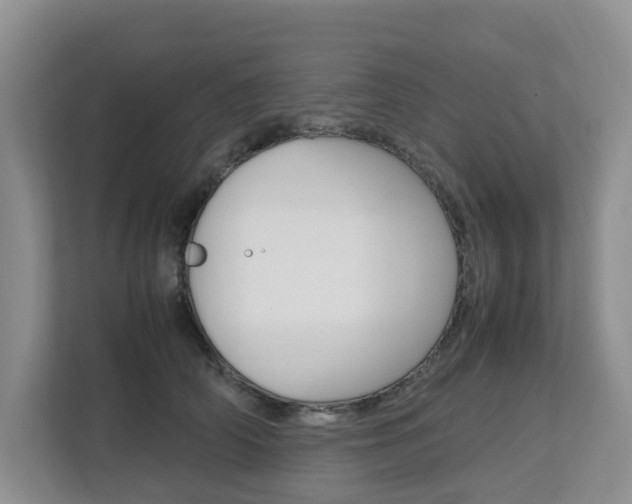 X0000112750706200908201013