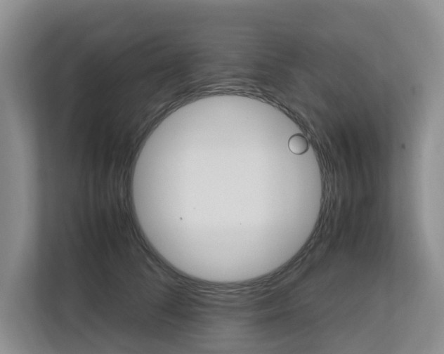 X0000112750708200908201013