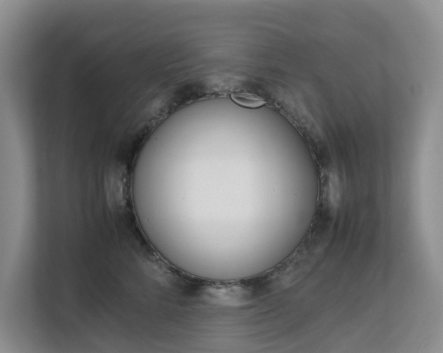 X0000112750712200908201013