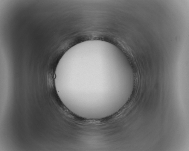 X0000112750719200908201013
