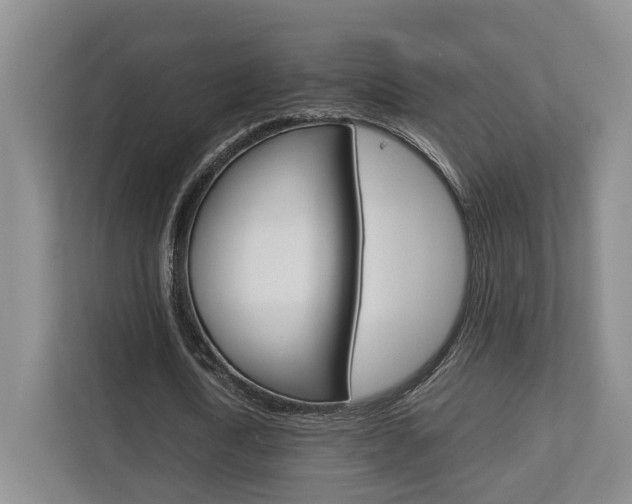 X0000112750722200908201012