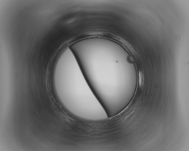 X0000112750723200908201012