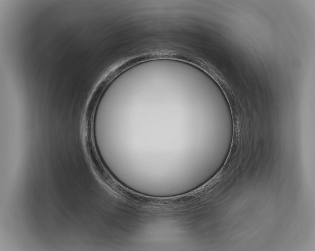 X0000112750726200908201013