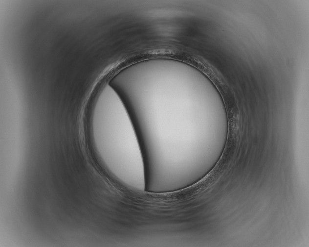 X0000112750727200908201013
