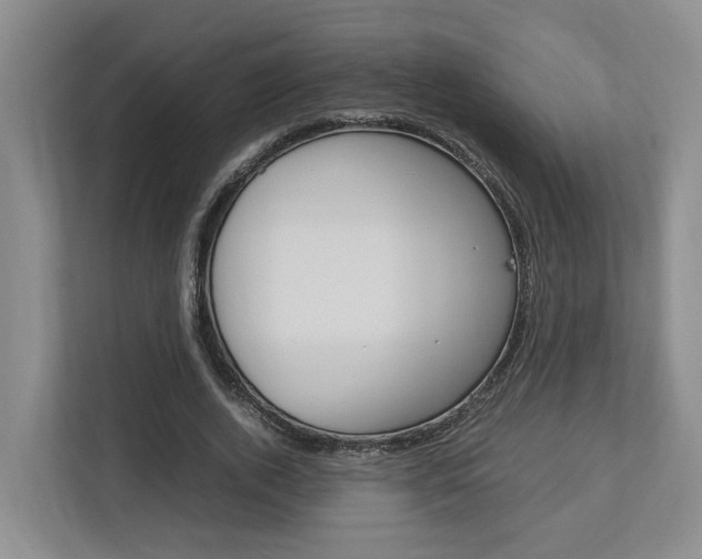 X0000112750728200908201013