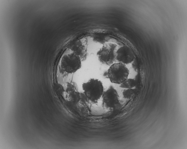 X0000112750729200908201013