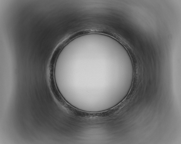 X0000112750730200908201013