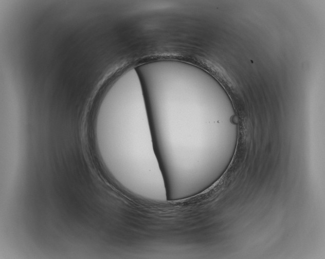 X0000112750731200908201013