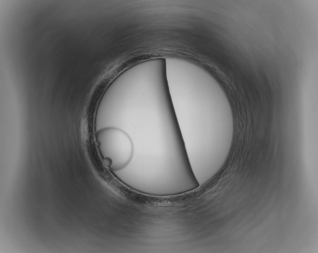 X0000112750734200908201013