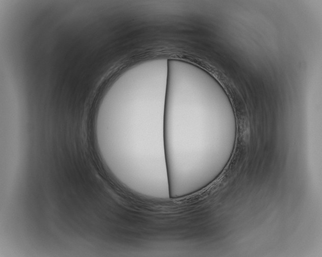 X0000112750735200908201013