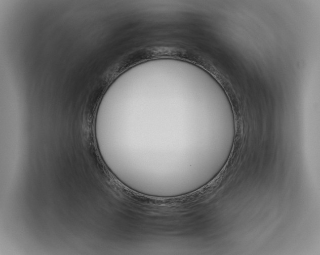 X0000112750737200908201013