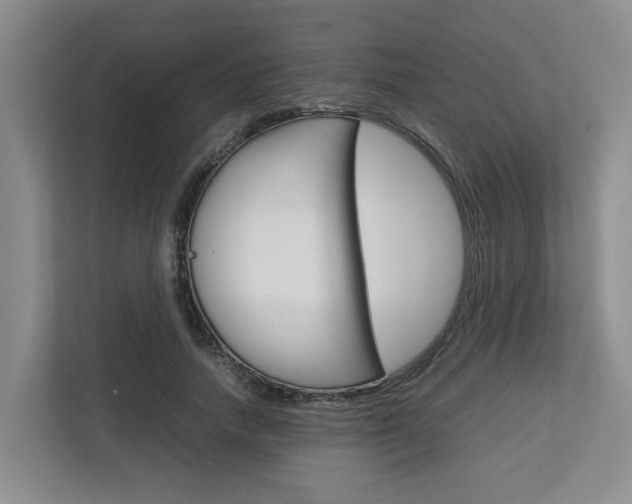 X0000112750738200908201013