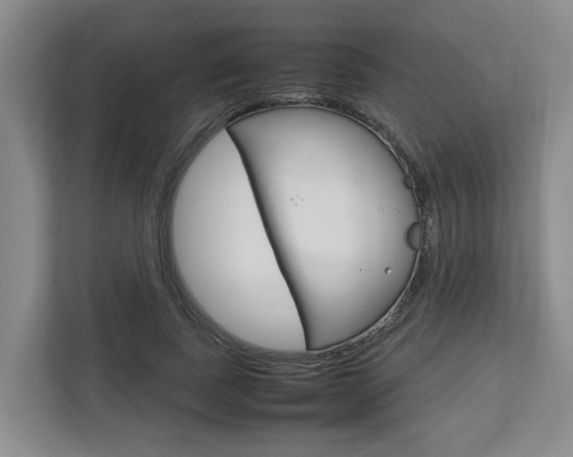 X0000112750739200908201013