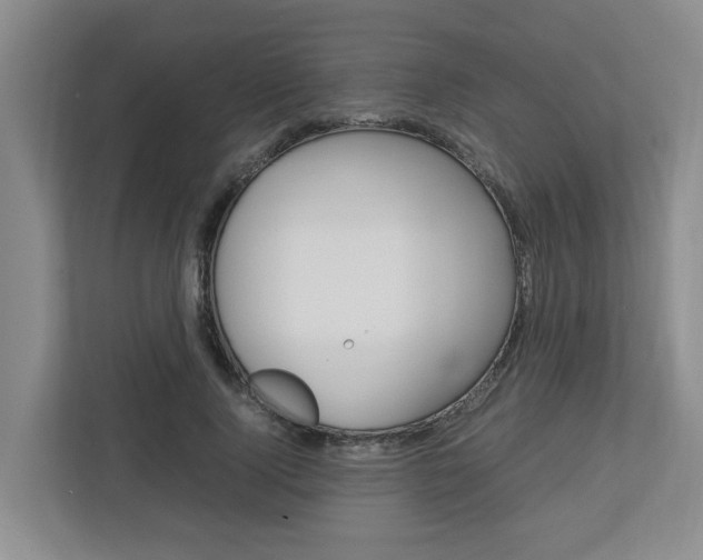 X0000112750740200908201013