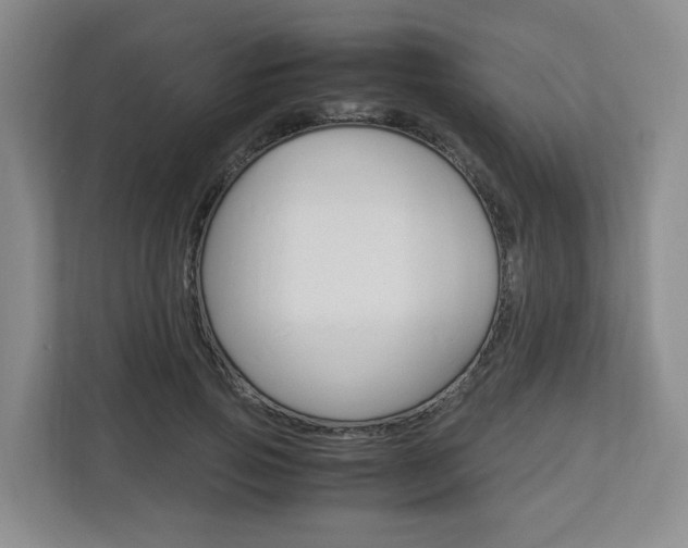 X0000112750741200908201013