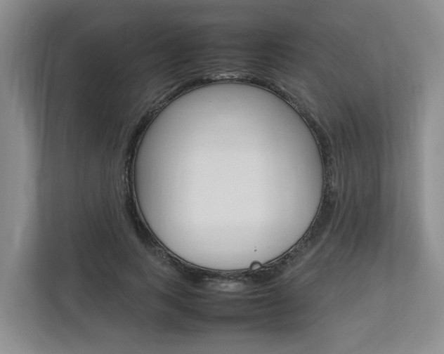X0000112750743200908201013