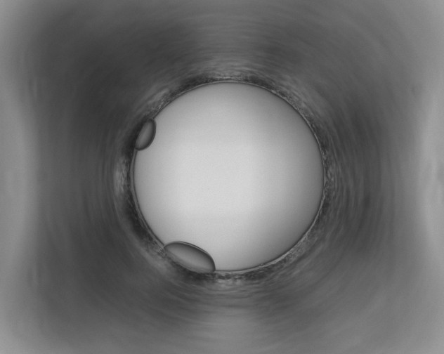 X0000112750744200908201013