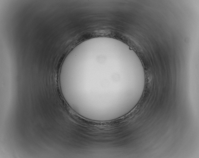 X0000112750745200908201013