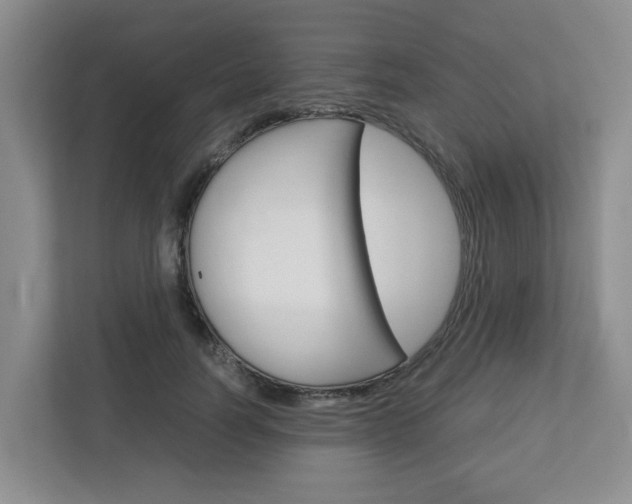 X0000112750746200908201013