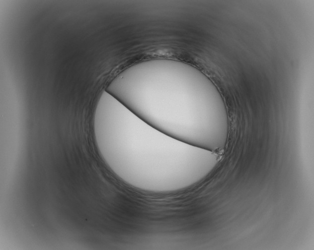 X0000112750747200908201013