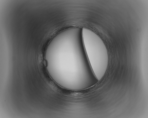 X0000112750748200908201013
